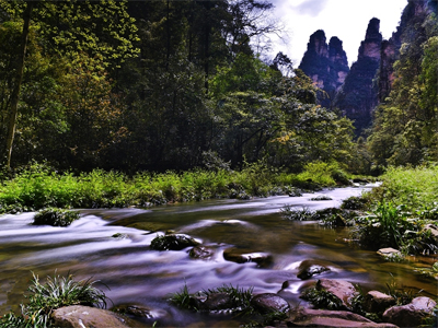 深度游玩核心景區(qū)—張家界國家森林公園