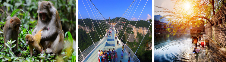 張家界跟團(tuán)游,張家界自由行,張家界自駕游,張家界中國(guó)國(guó)際旅行社有限公司